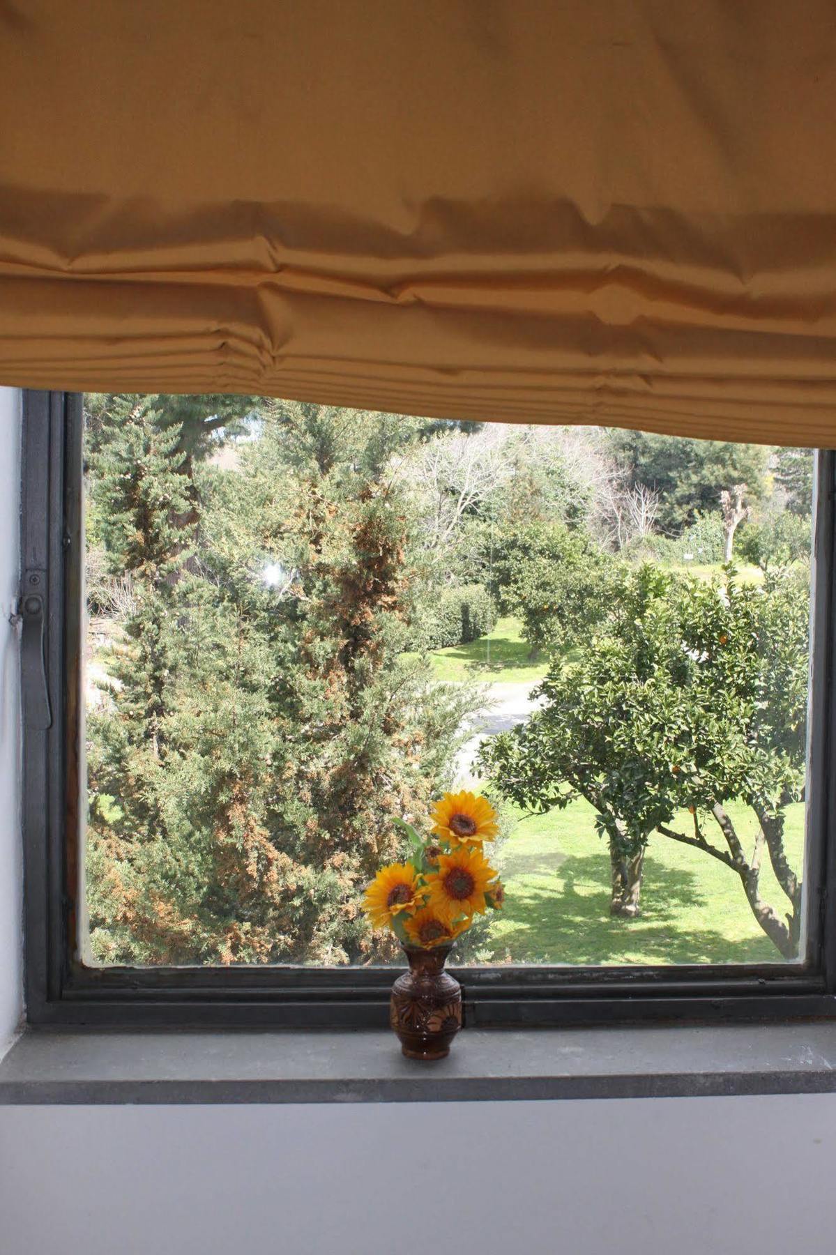 Flegrea House Aparthotel Pozzuoli Exterior photo